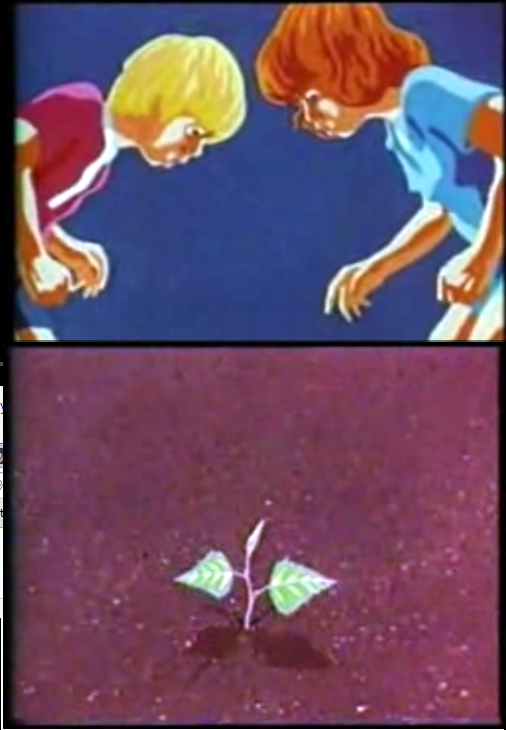 14148854992231.png