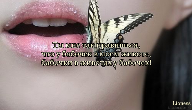 Цитаты бабочки в моем животе Цитаты бабочки в моем животе