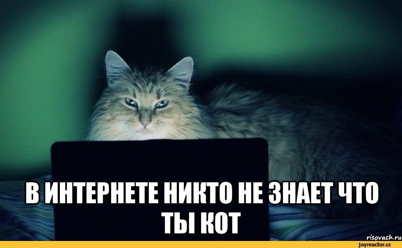 Кто сказал "Мяу"?