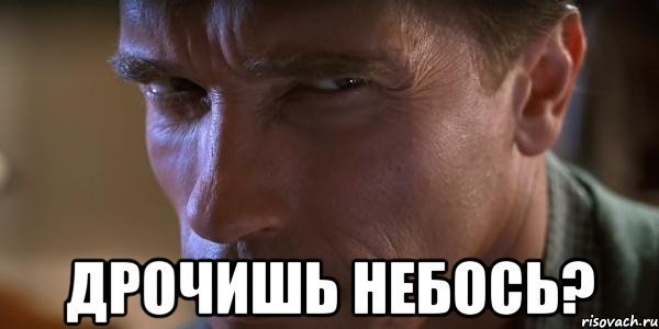 1446906843166360522.jpg