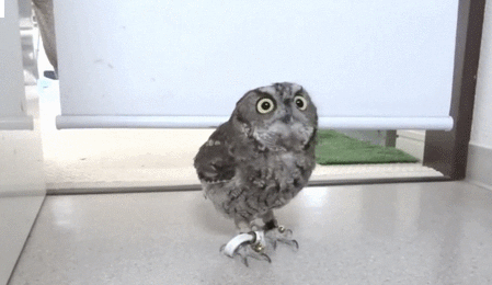 14108110089508.gif