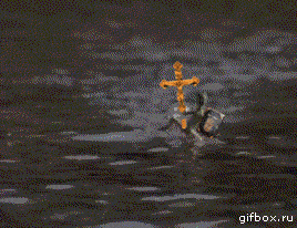 14122327914490.gif