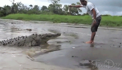 В Австралии подросток прыгнул в реку с крокодилами, чтобы впечатлить девушку