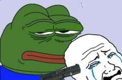 14239562379030.jpg