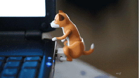 1401812444_2049307494.gif