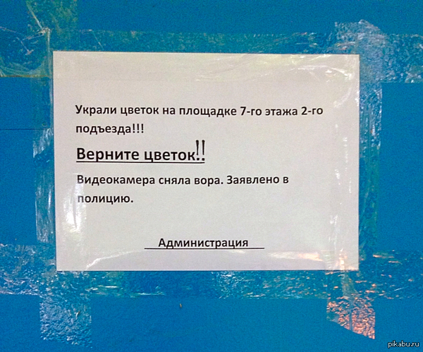 Кто своровал цветок Кто своровал цветок