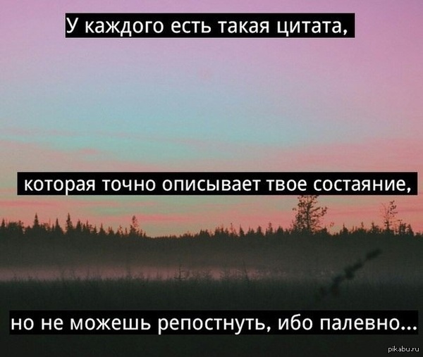 Топ цитат со смыслом Топ цитат со смыслом