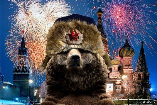 обои на рабочий стол медведь на фоне российского флага онлайн №217903 обои на рабочий стол медведь на фоне российского флага № 217902 бесплатно