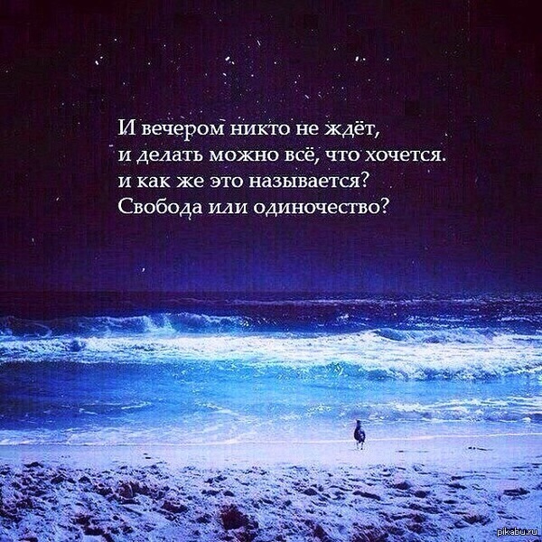 Стих моя свобода Стих моя свобода