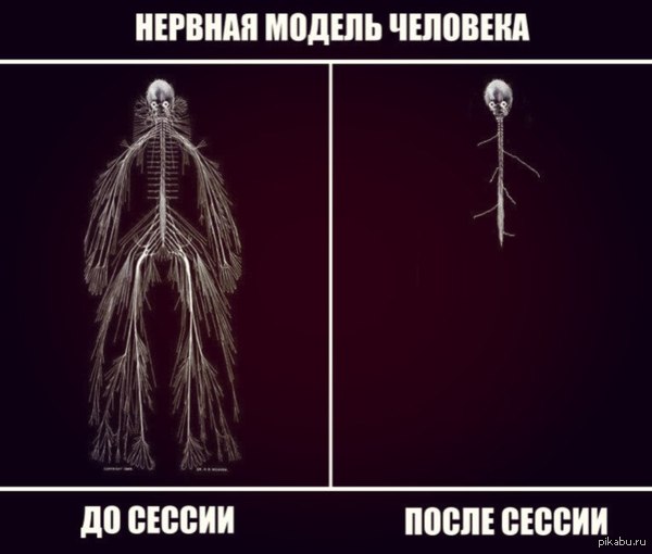 нервы на сессии   сессия, вуз, учеба, студенты