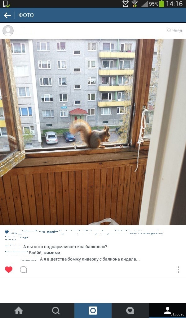 1419859441_719573570.jpg