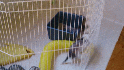 1421409942_1350226063.gif