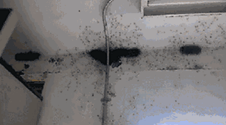 1425594371_722247742.gif