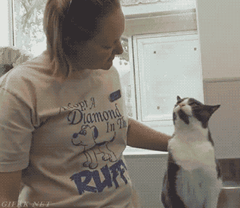 1426021554_1429570728.gif