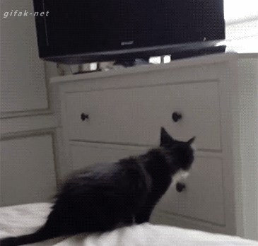 1427482309_1131590875.gif