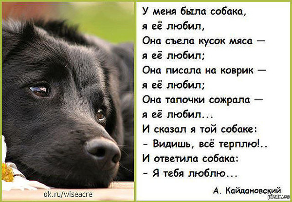 Короткое пожелание детскому саду Короткое пожелание детскому саду