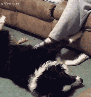 1428858334_1778527930.gif