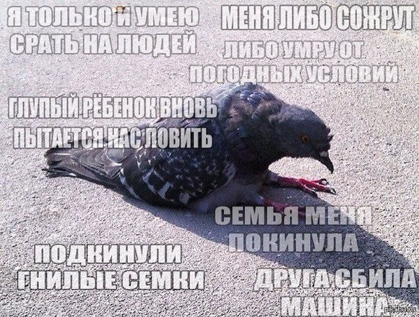 1443892062_1906933034.jpg