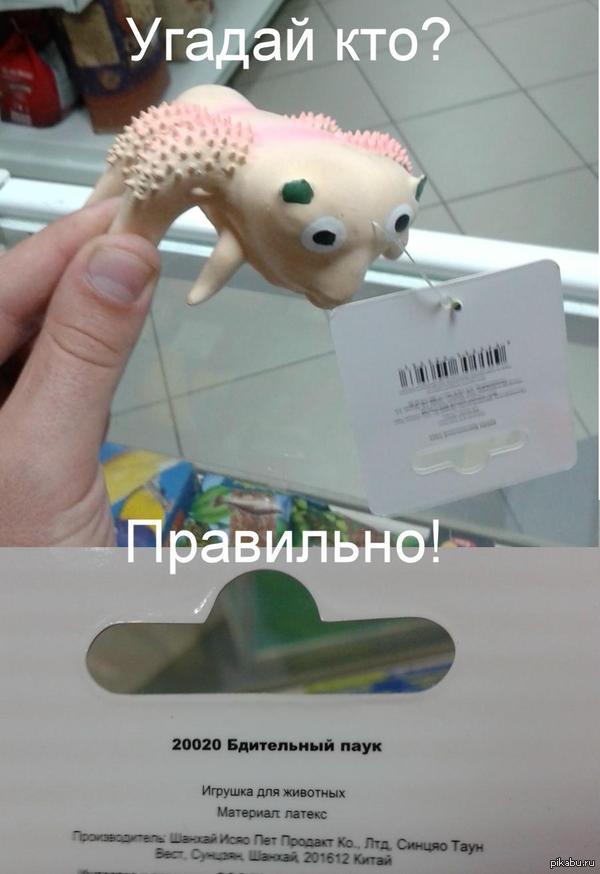 http://cs5.pikabu.ru/post_img/2015/10/11/10/1444582519_905575416.JPG