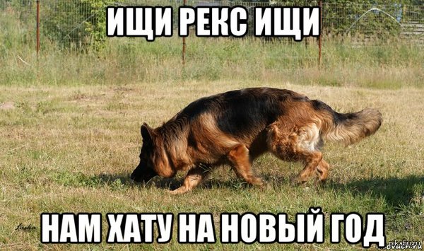 Они нашли хату на новый год Они нашли хату на новый год