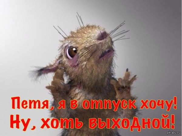 http://cs5.pikabu.ru/post_img/2015/10/12/5/1444633400_442421889.jpg