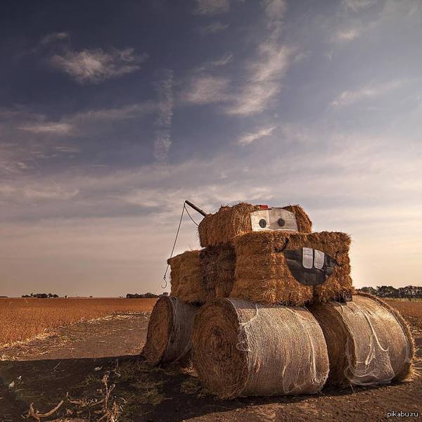 Опубликованное фото