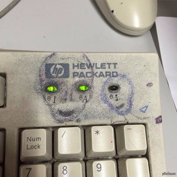 1447754910_1249777666.jpg