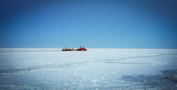 Выжить в Арктике арктика, атомоход, мужество, длиннопост