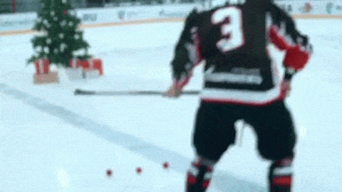 Новогодние хоккейные трикшоты