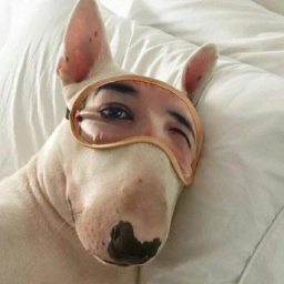 Lastaid