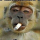 ������ ������������ Rangris