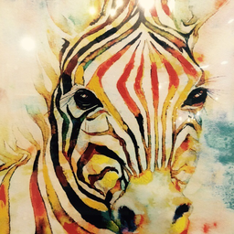 ZebraA