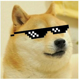 CuteDoge