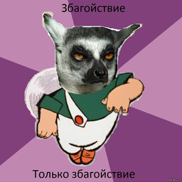 Tyion