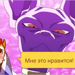 Luffi1231