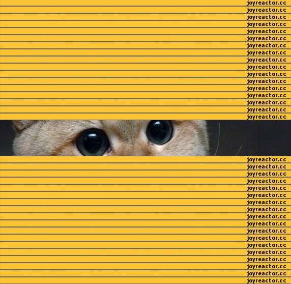 1440403528156993487.jpg