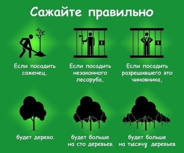 Плюсы макулатуры макулатура газеты