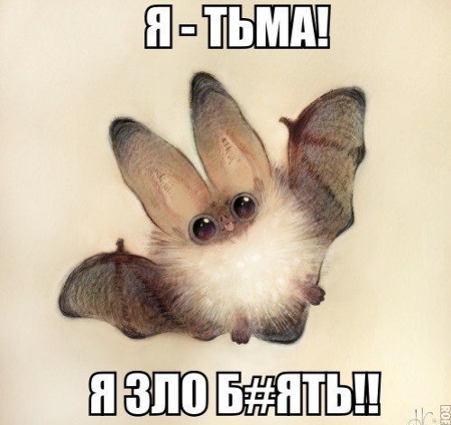 https://cs5.pikabu.ru/images/big_size_comm/2015-11_5/144843813116773951.jpg