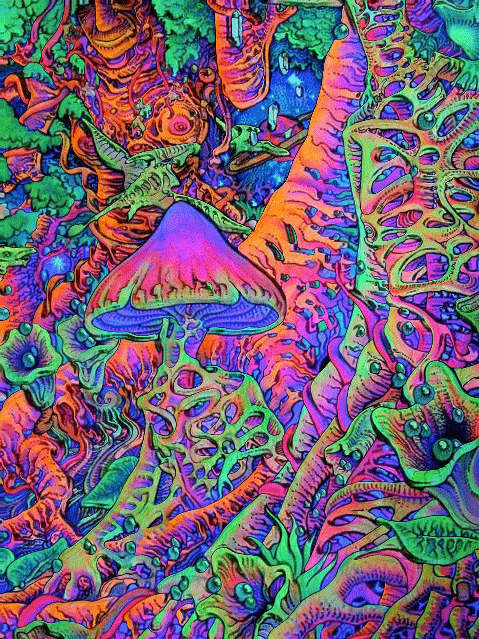 LSD - жесткая штука | Пикабу