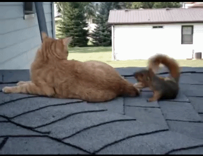 https://cs5.pikabu.ru/images/big_size_comm_an/2015-08_5/144024184114635847.gif