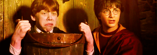 https://cs5.pikabu.ru/images/big_size_comm_an/2015-12_5/1450828571172992968.gif
