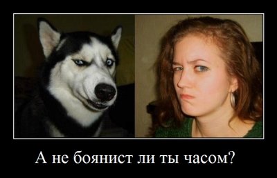 Иллюстрация к комментарию