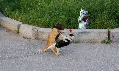 ����������� � �����������