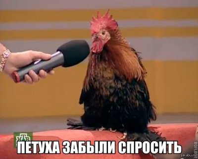 Иллюстрация к комментарию