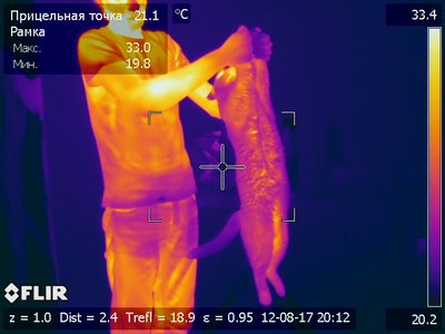 Иллюстрация к комментарию