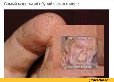 Иллюстрация к комментарию