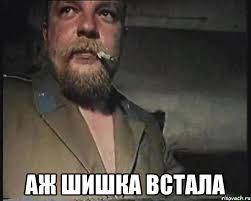что значит шишка встала. Смотреть фото что значит шишка встала. Смотреть картинку что значит шишка встала. Картинка про что значит шишка встала. Фото что значит шишка встала