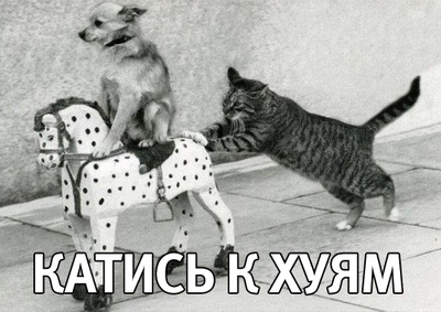 девушка как цветок как за ней ухаживаешь так она и цветет. Смотреть фото девушка как цветок как за ней ухаживаешь так она и цветет. Смотреть картинку девушка как цветок как за ней ухаживаешь так она и цветет. Картинка про девушка как цветок как за ней ухаживаешь так она и цветет. Фото девушка как цветок как за ней ухаживаешь так она и цветет
