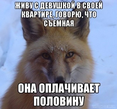 Èëëþñòðàöèÿ ê êîììåíòàðèþ