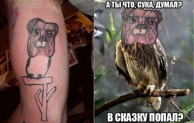 Иллюстрация к комментарию